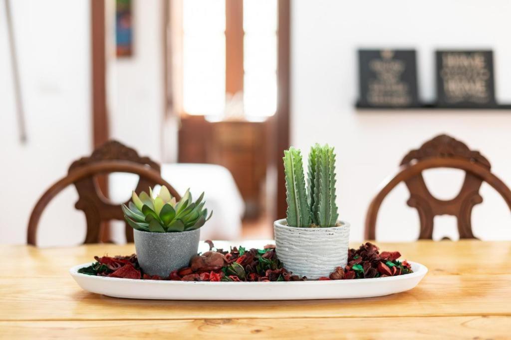 Casa Canaria Acero ガラチコ エクステリア 写真