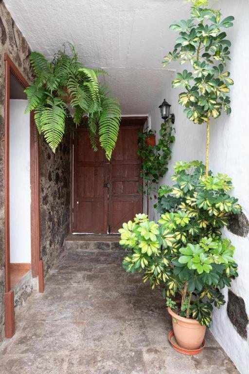 Casa Canaria Acero ガラチコ エクステリア 写真