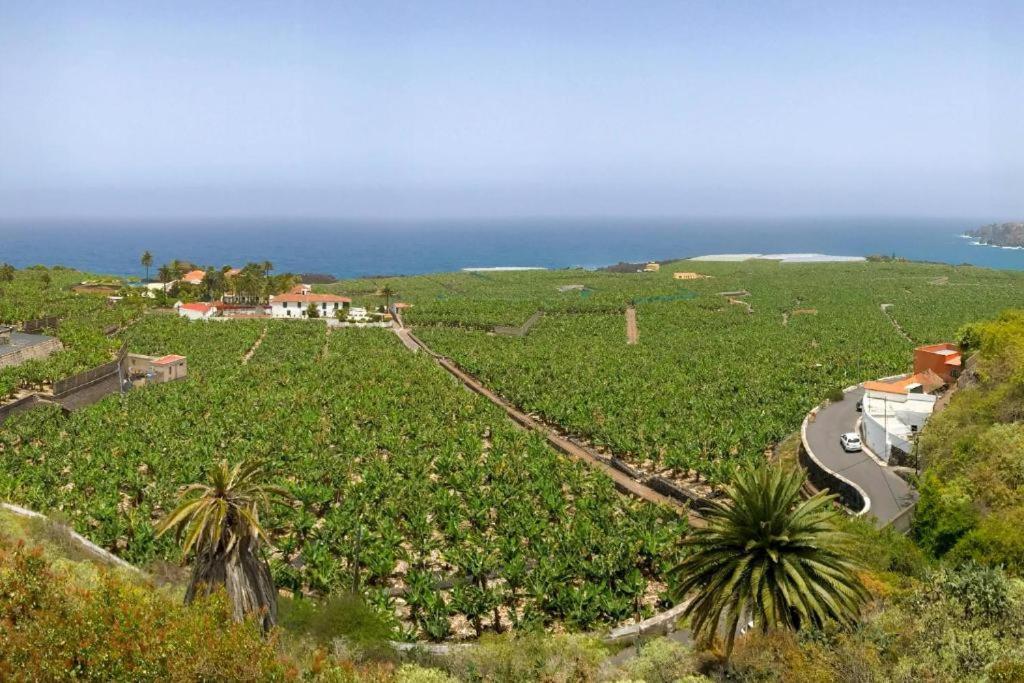 Casa Canaria Acero ガラチコ エクステリア 写真